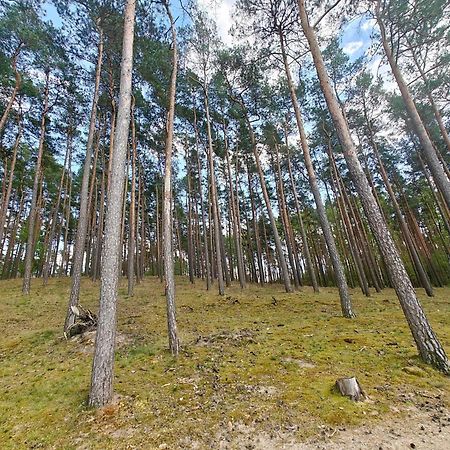 Leśna Ostoja w centrum Puszczy Nadnoteckiej otoczona 3 jeziorami Miedzychod Zewnętrze zdjęcie