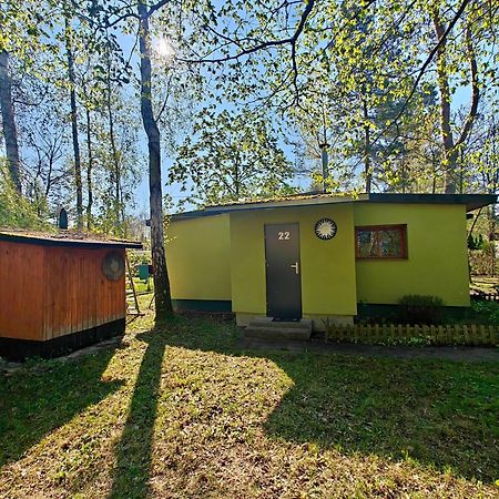 Leśna Ostoja w centrum Puszczy Nadnoteckiej otoczona 3 jeziorami Miedzychod Zewnętrze zdjęcie