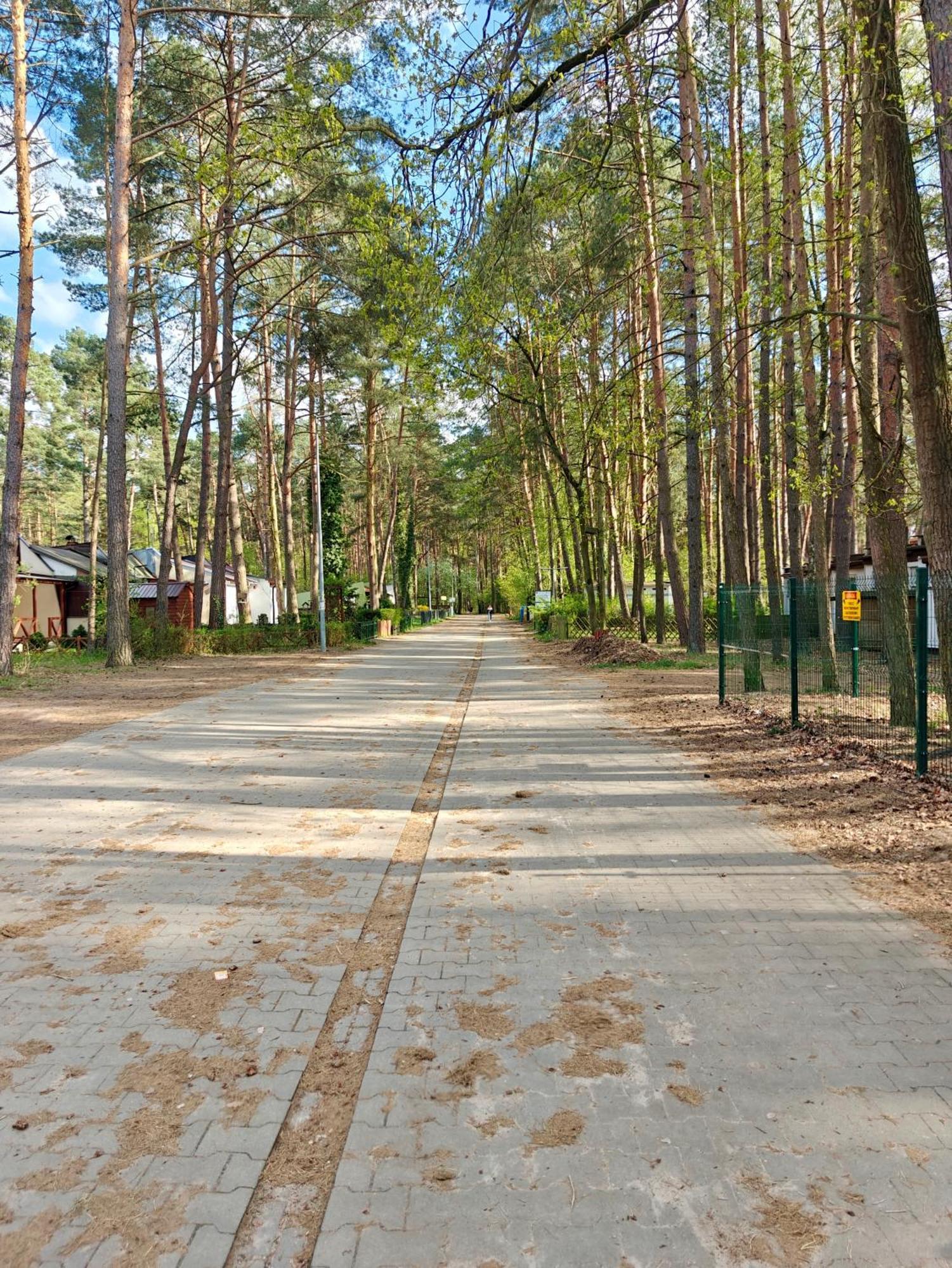 Leśna Ostoja w centrum Puszczy Nadnoteckiej otoczona 3 jeziorami Miedzychod Zewnętrze zdjęcie